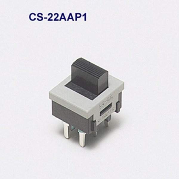 CS-22AAP1 メイン